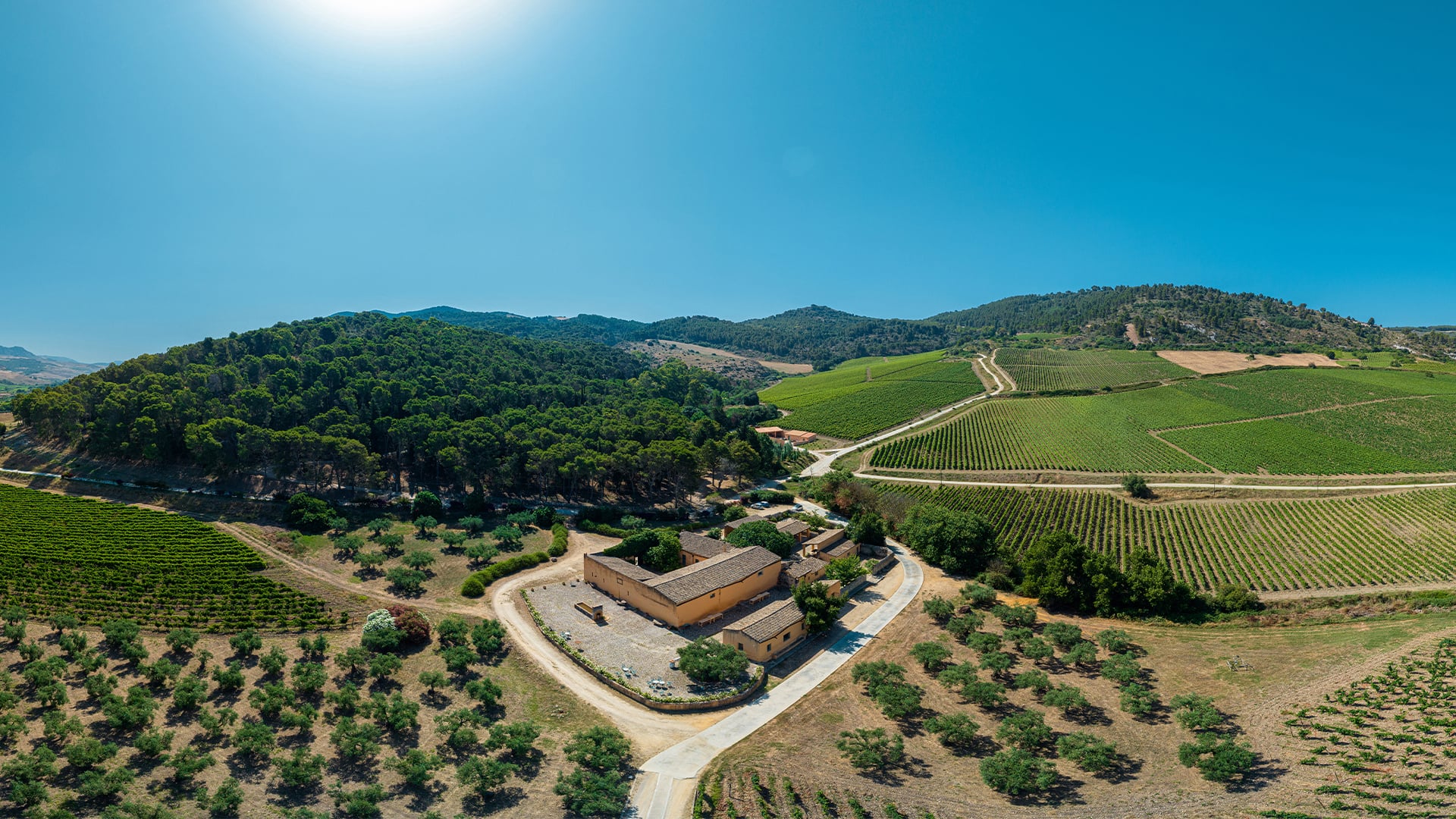 Aziende Agricole Planeta Società Semplice