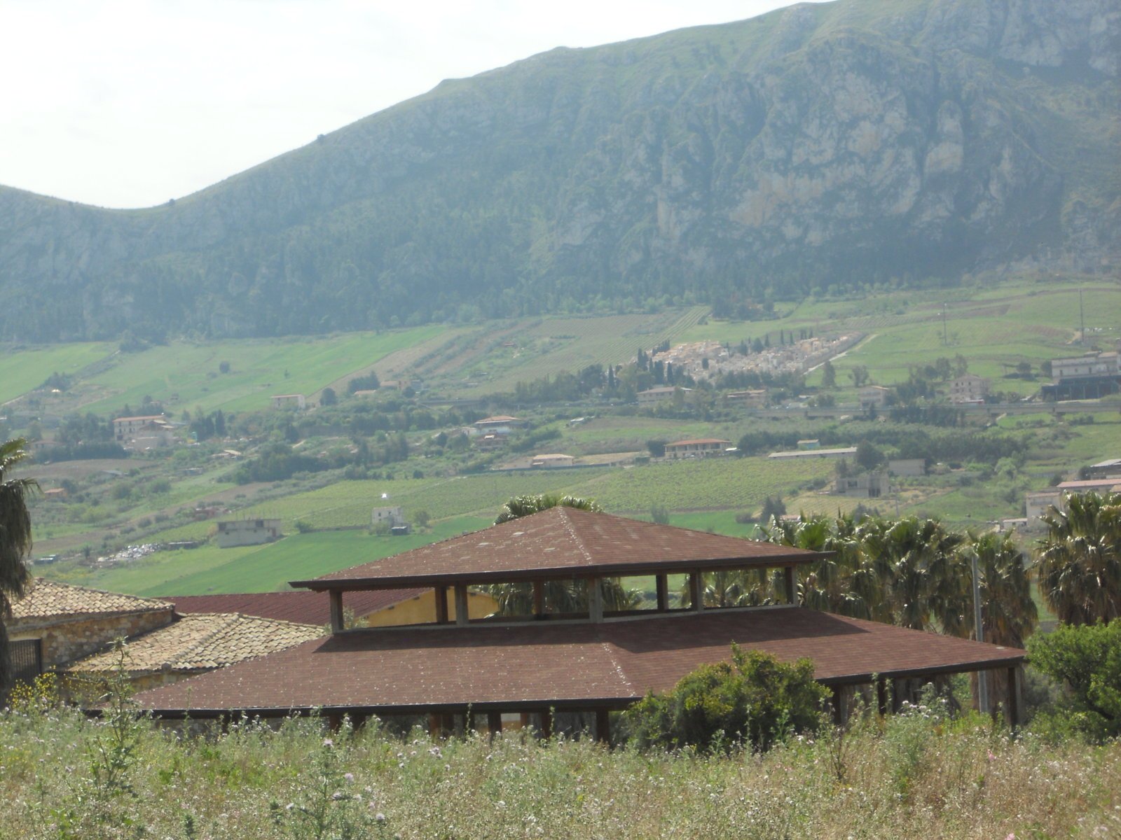 Di Bella Icone S.r.l.