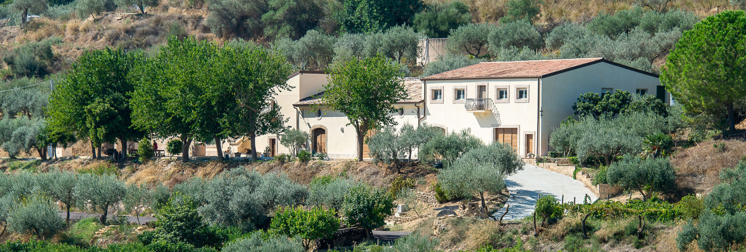 Imakara Società Agricola srl