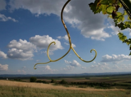 Weinbau Familie Strohmayer