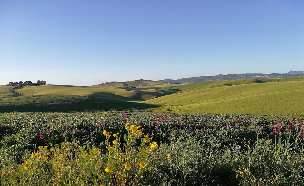 Possente Società Cooperativa Agricola