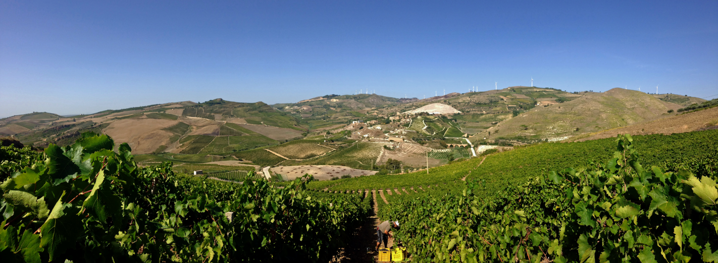 Tardi Leonarda di Mazzara Calogero