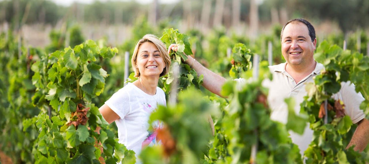 Tenuta Bastonaca Società Agricola S.s.