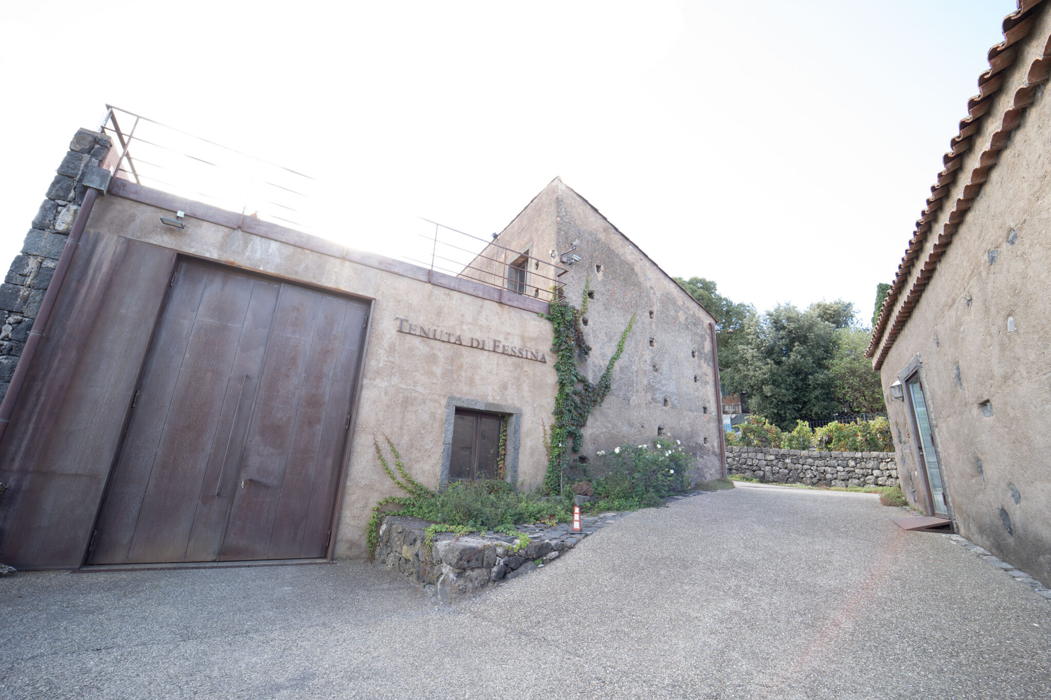 Tenuta Di Fessina Società Agricola A R.L.