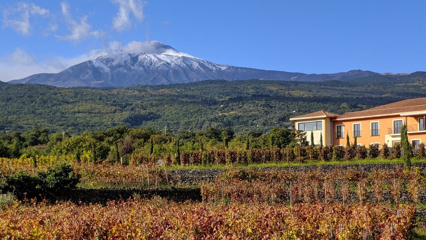 Vivera Società Agricola Consortile A R.L.