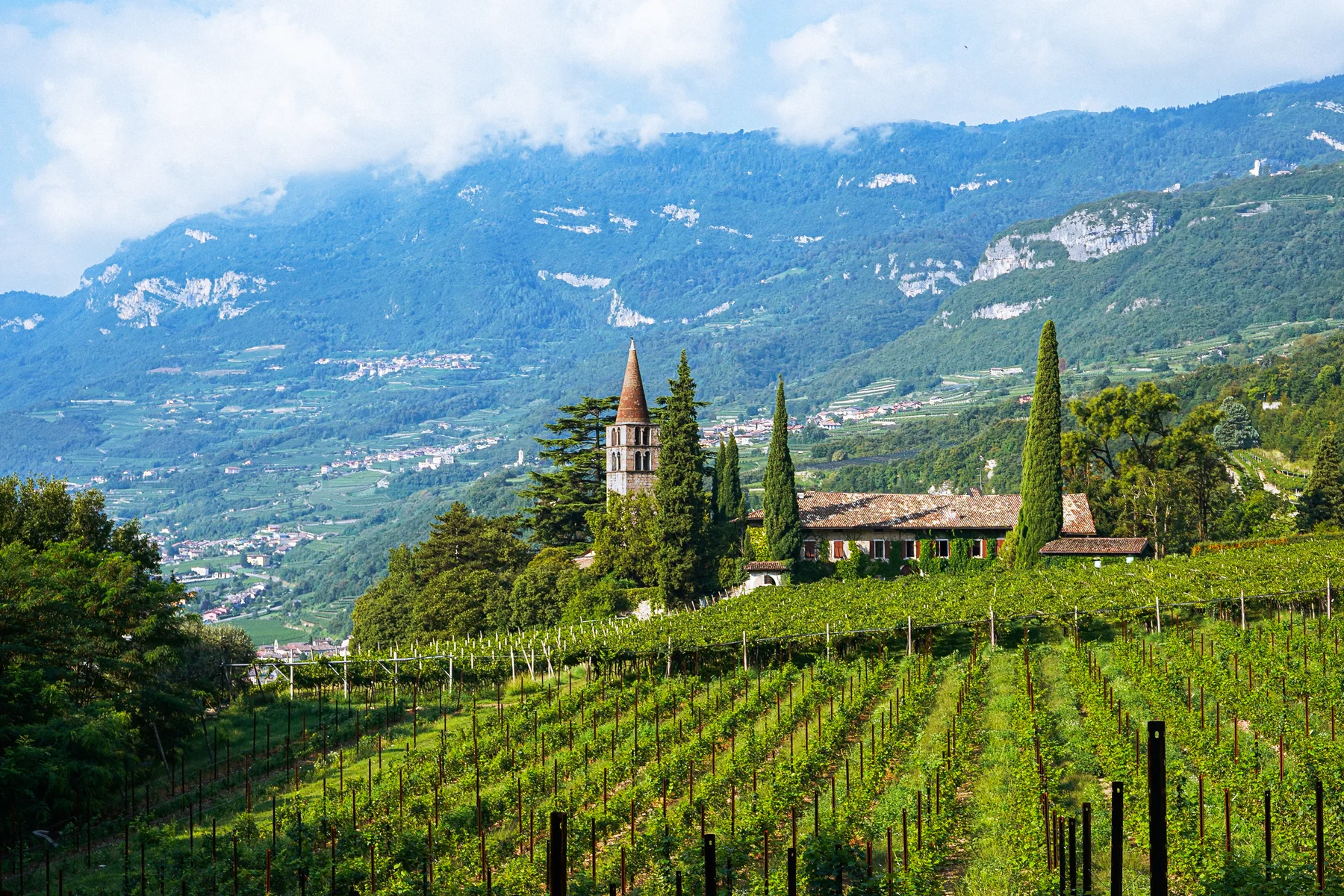 Azienda Agricola Sant'Antonio