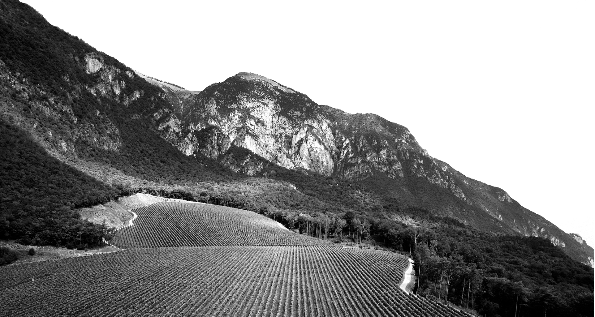 Ferrari Trento