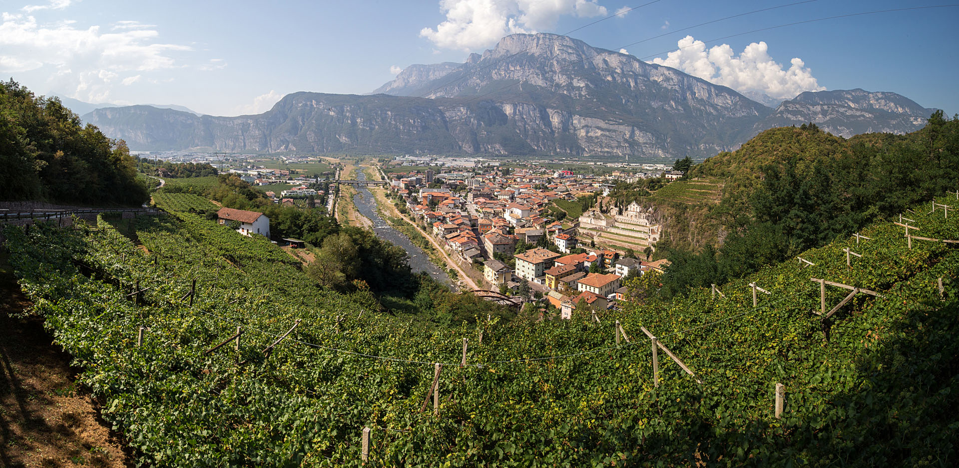 Cantine Monfort