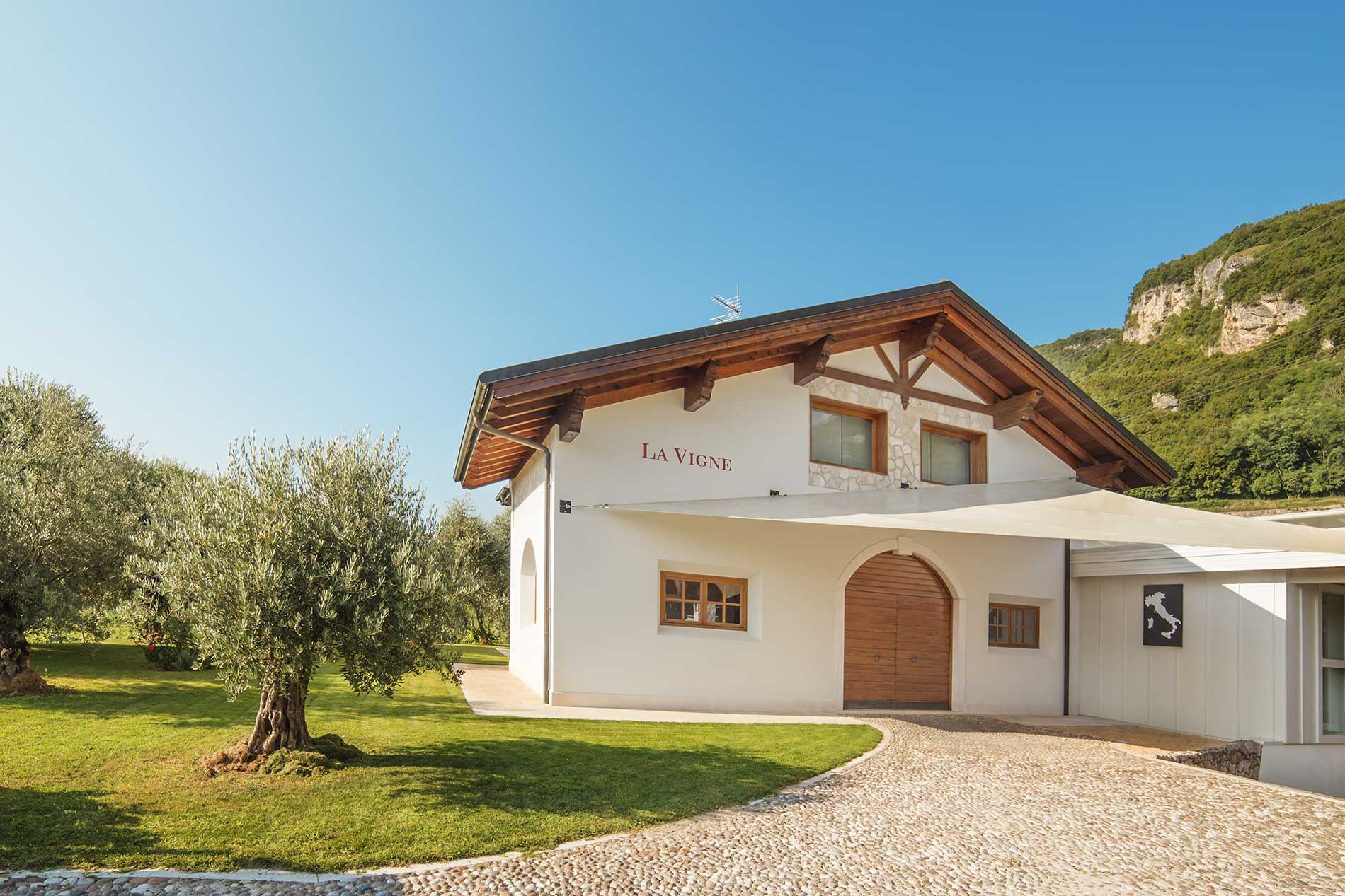 La Vigne