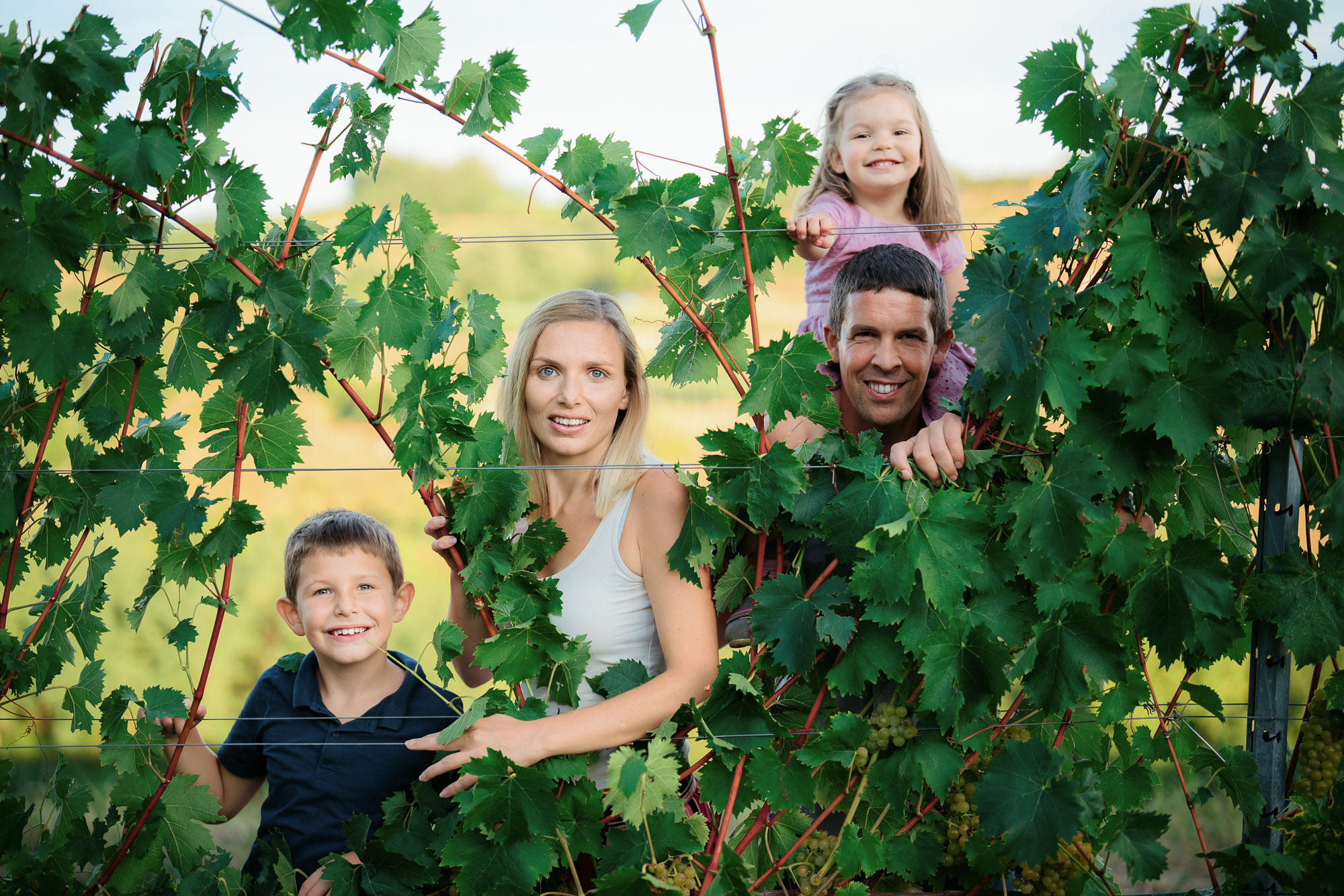 Keller Weingut Lutzer