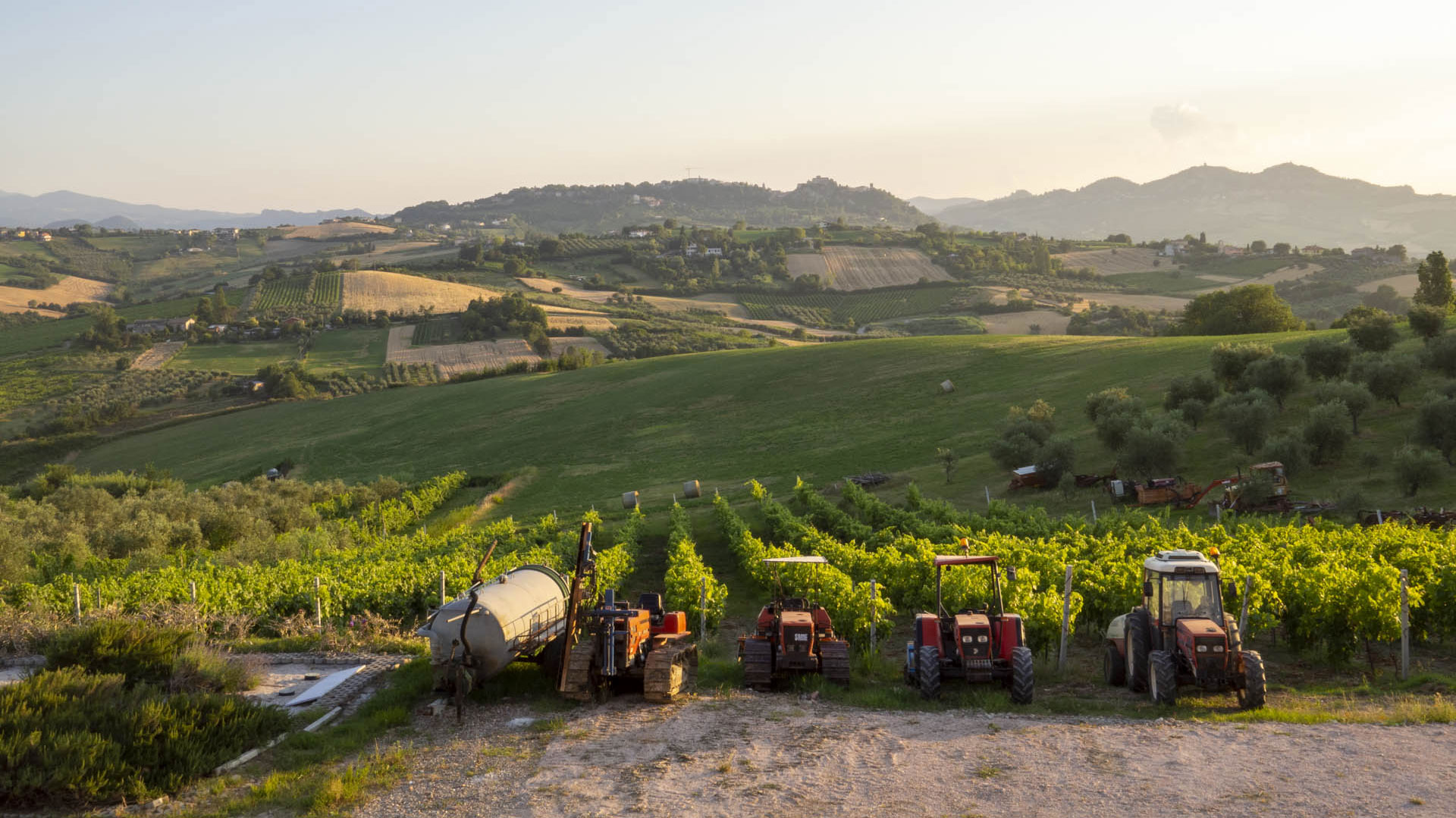 Agricola Carlini