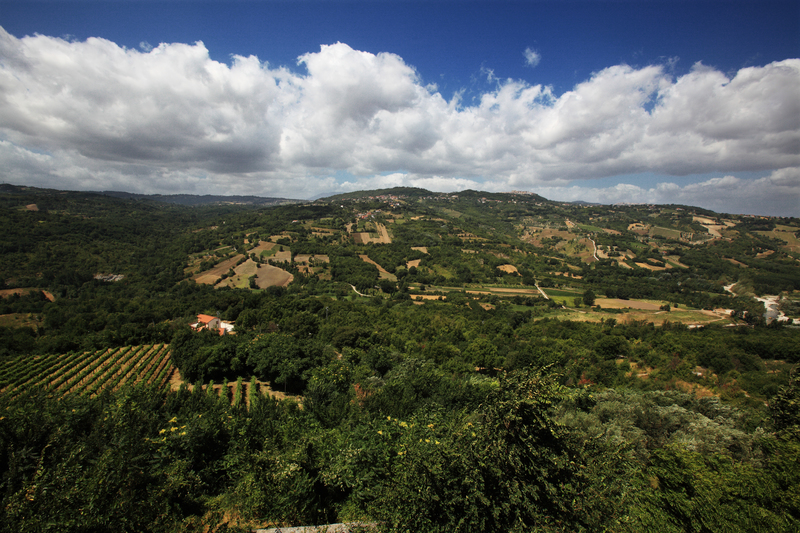 Cantine Lonardo