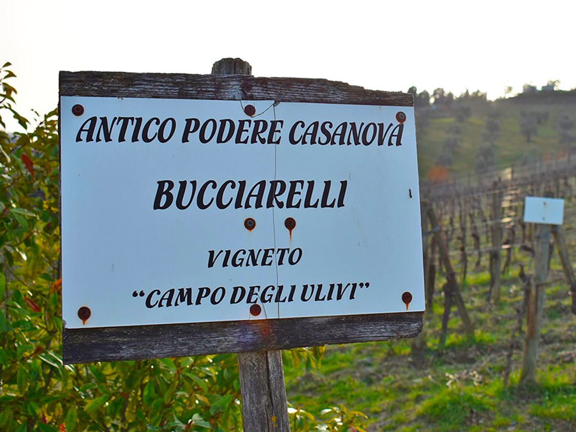 Bucciarelli - Antico Podere Casanova
