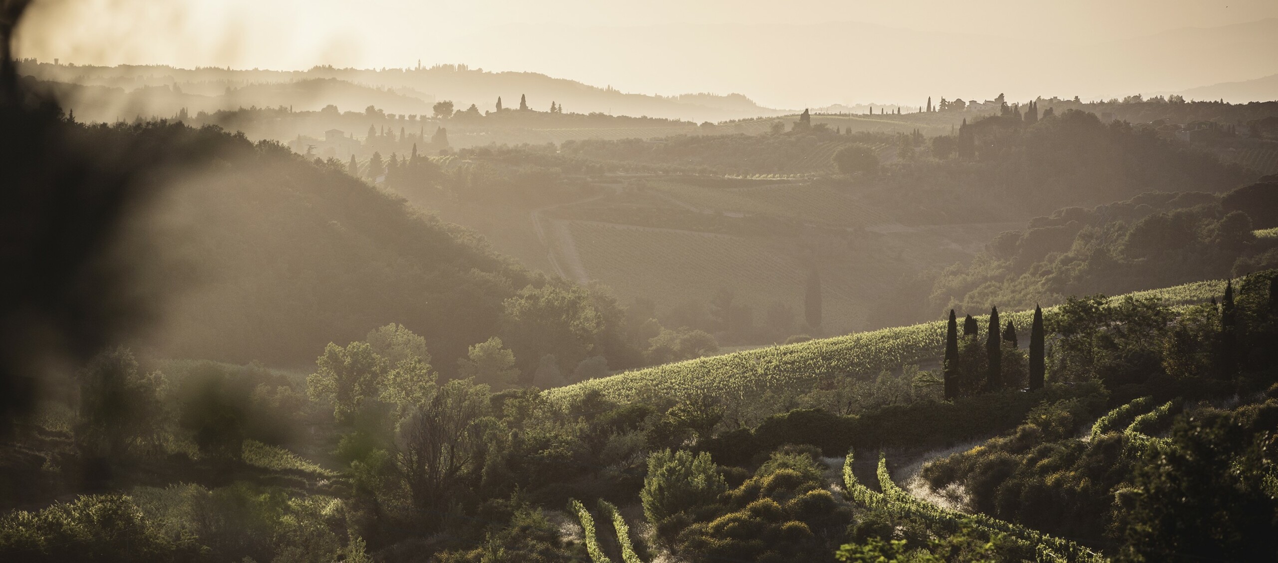 Antinori