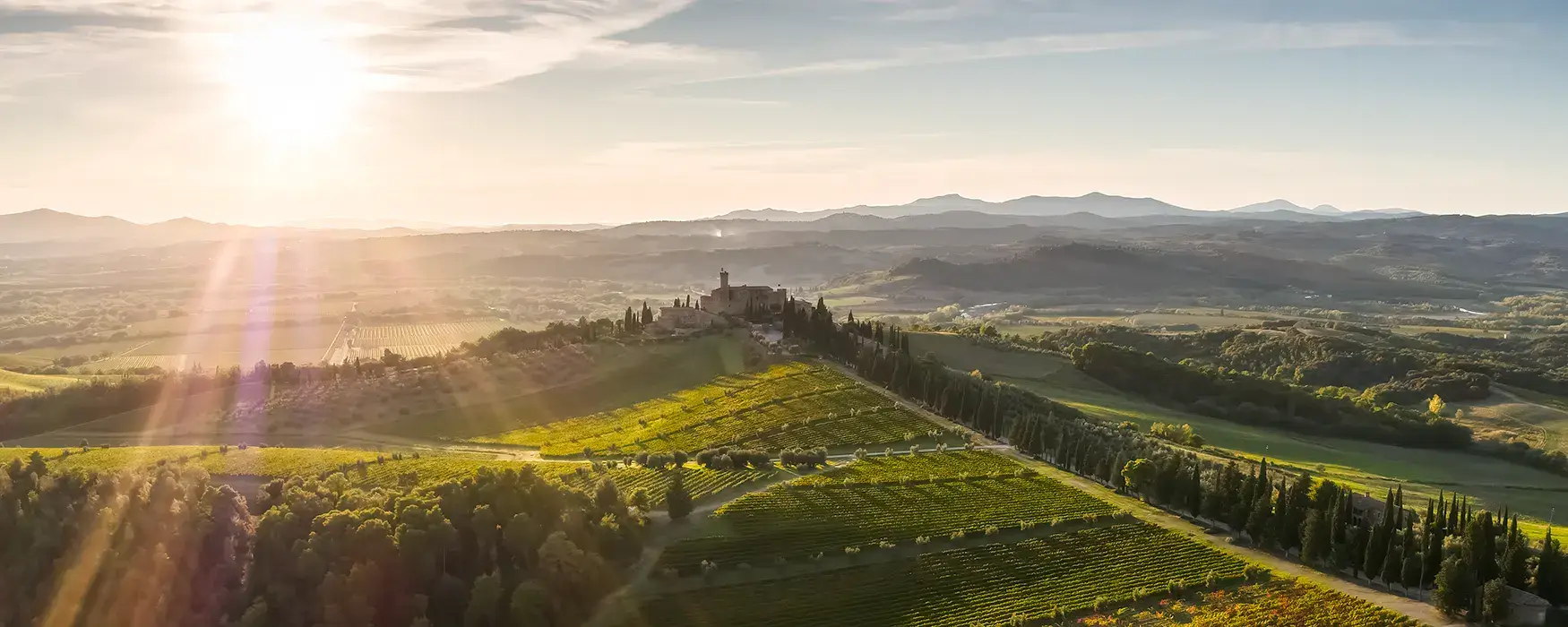 Banfi
