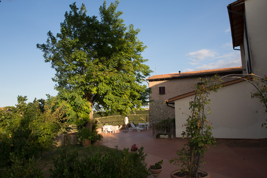 Bruscola