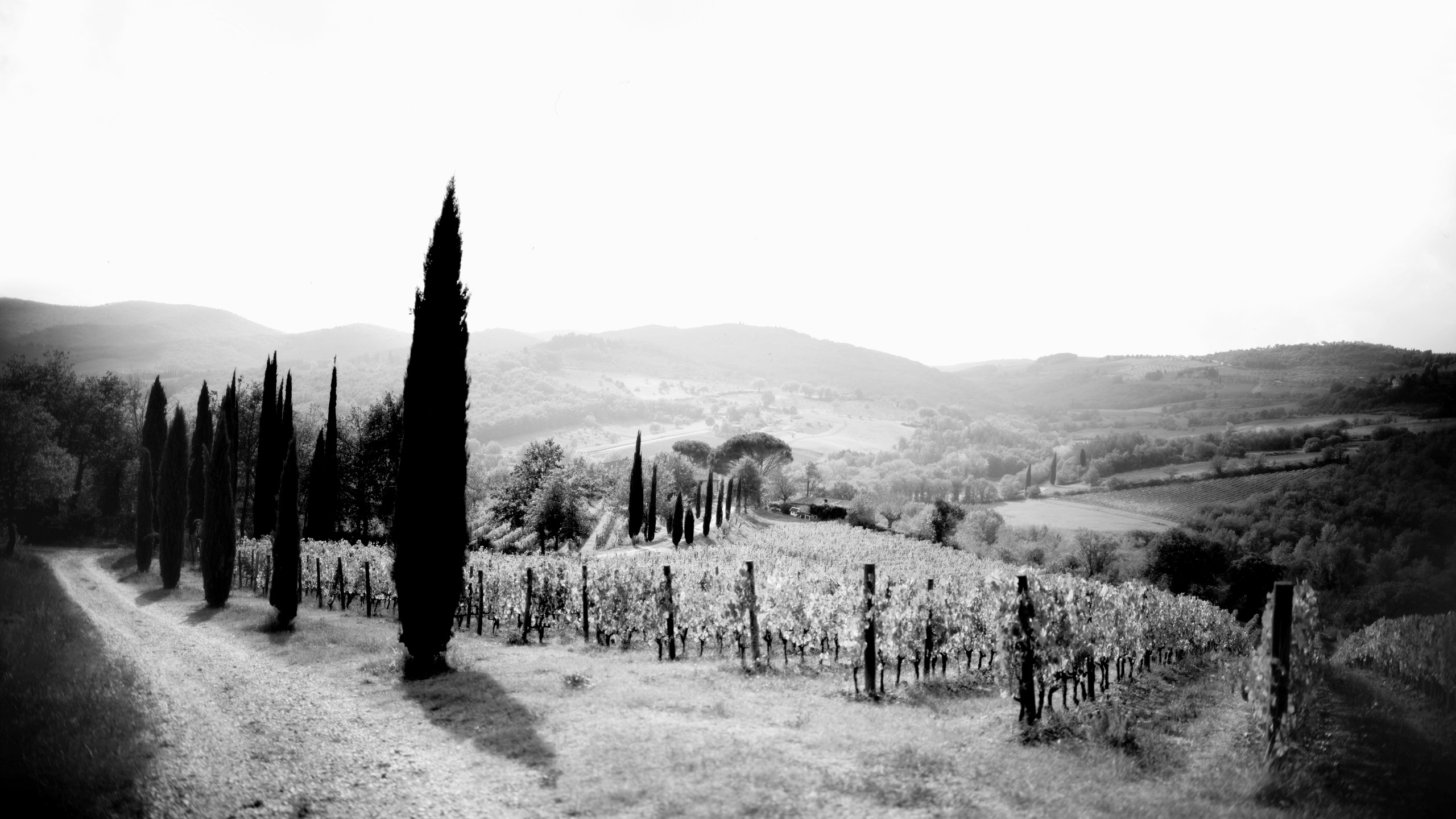 Candialle