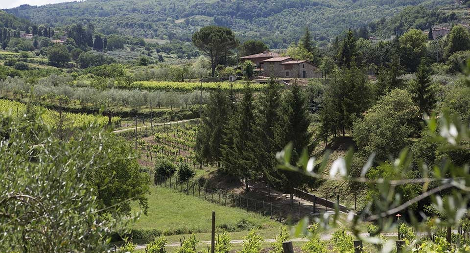 Casarossa