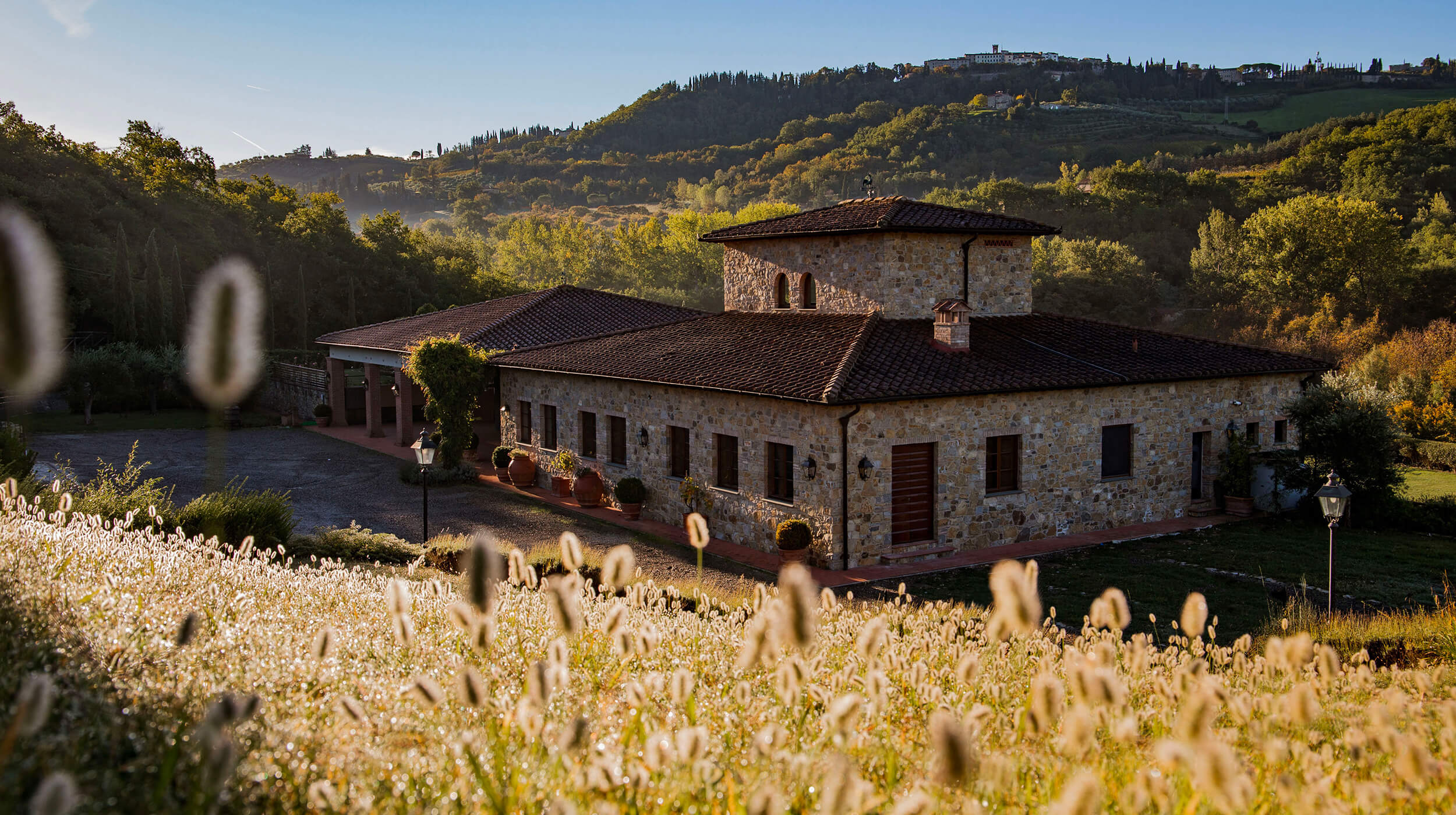 Castello di Radda