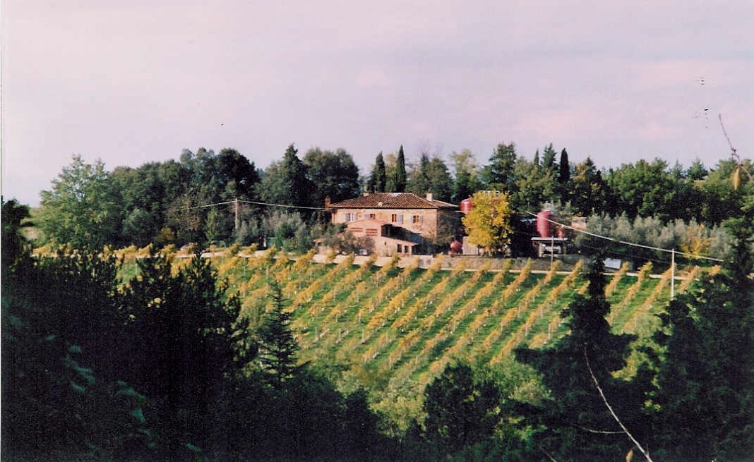 Mannucci Droandi