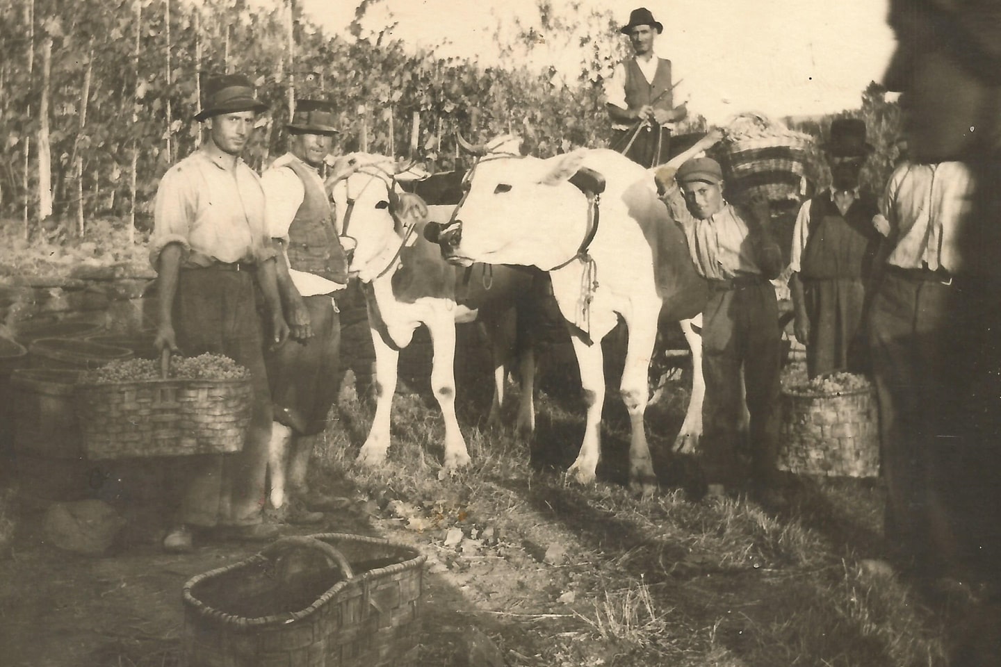 Podere Bucine