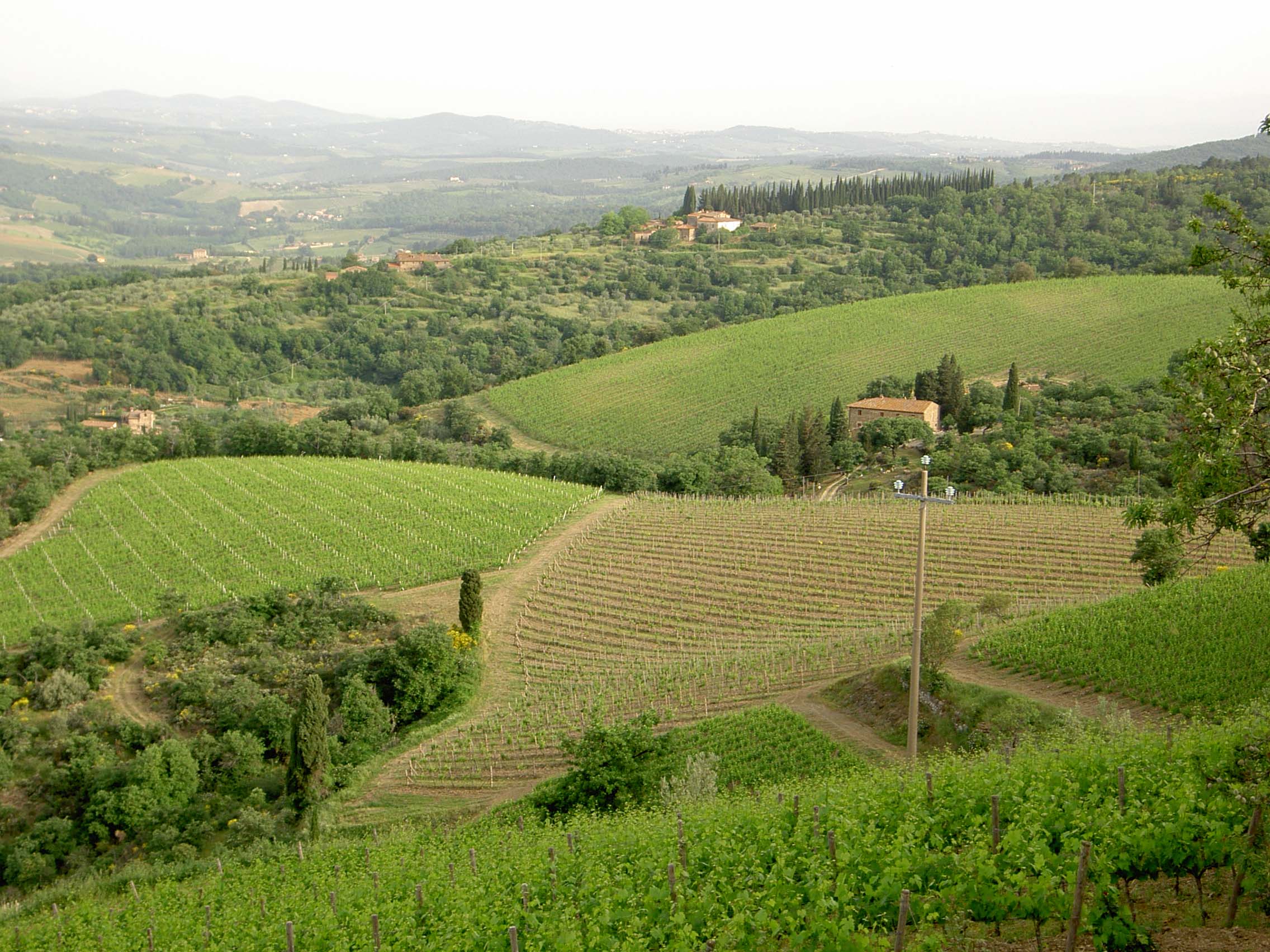 Podere Poggio Scalette