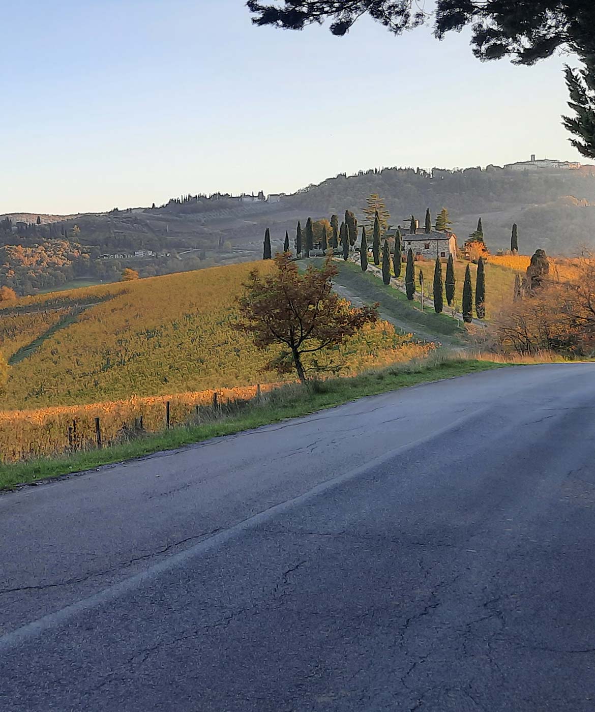 Podere Terreno alla Via della Volpaia