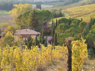 Tenuta Le Lame