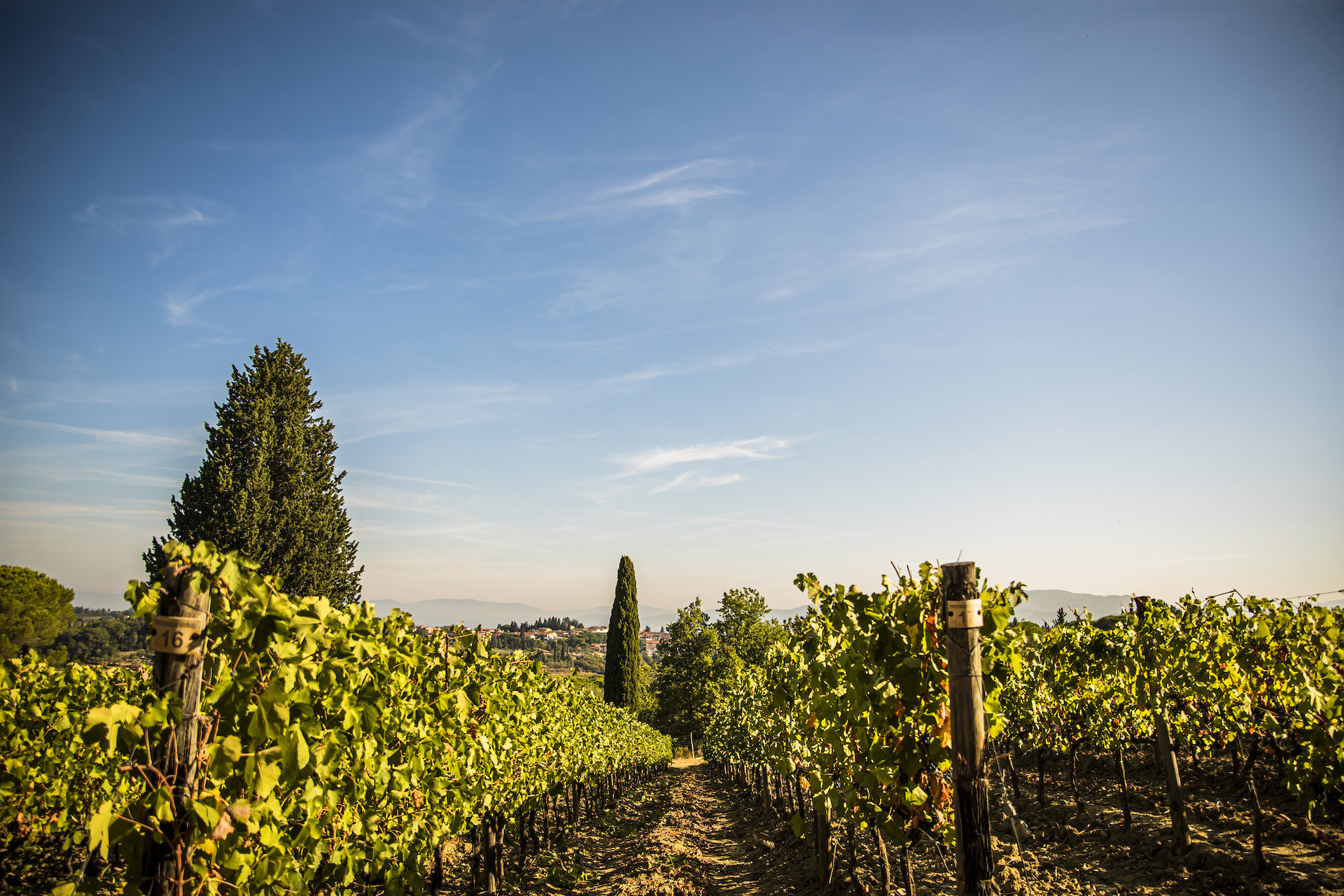 Tenuta Poggio ai Mandorli