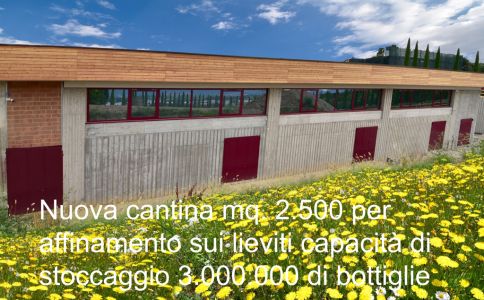 Cantina Chiara Ziliani