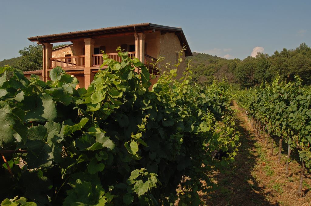 Tenuta Montedelma