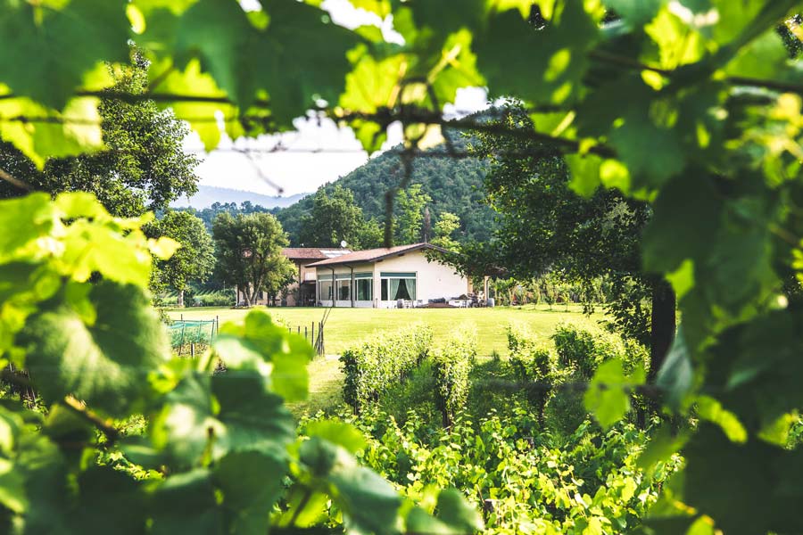 Villa Giuliana