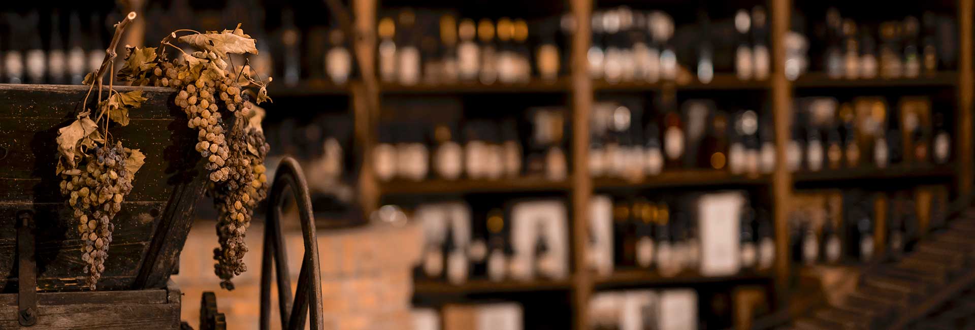 Cantina del Castello Az. Vitivinicola
