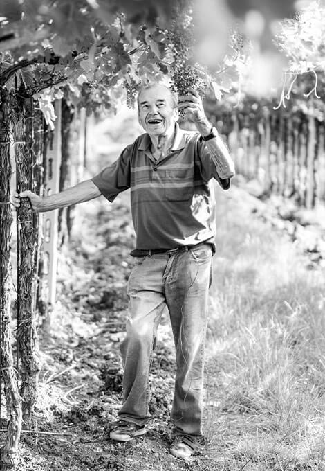 Cantina della Valpolicella