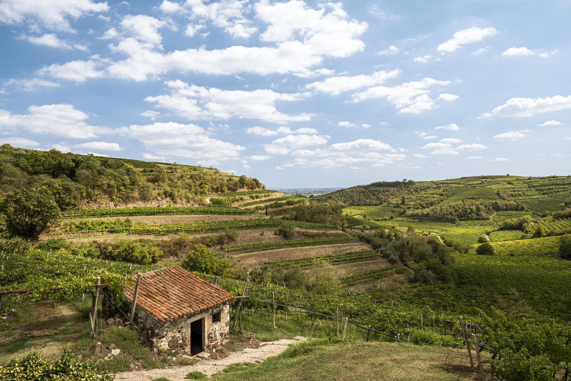 Az. Agr. di Graziano Prà Società Agricola Semplice