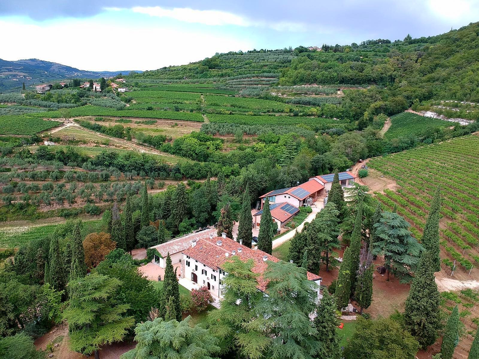 Az. Massimago società semplice agricola di Camilla Rossi Chauvenet