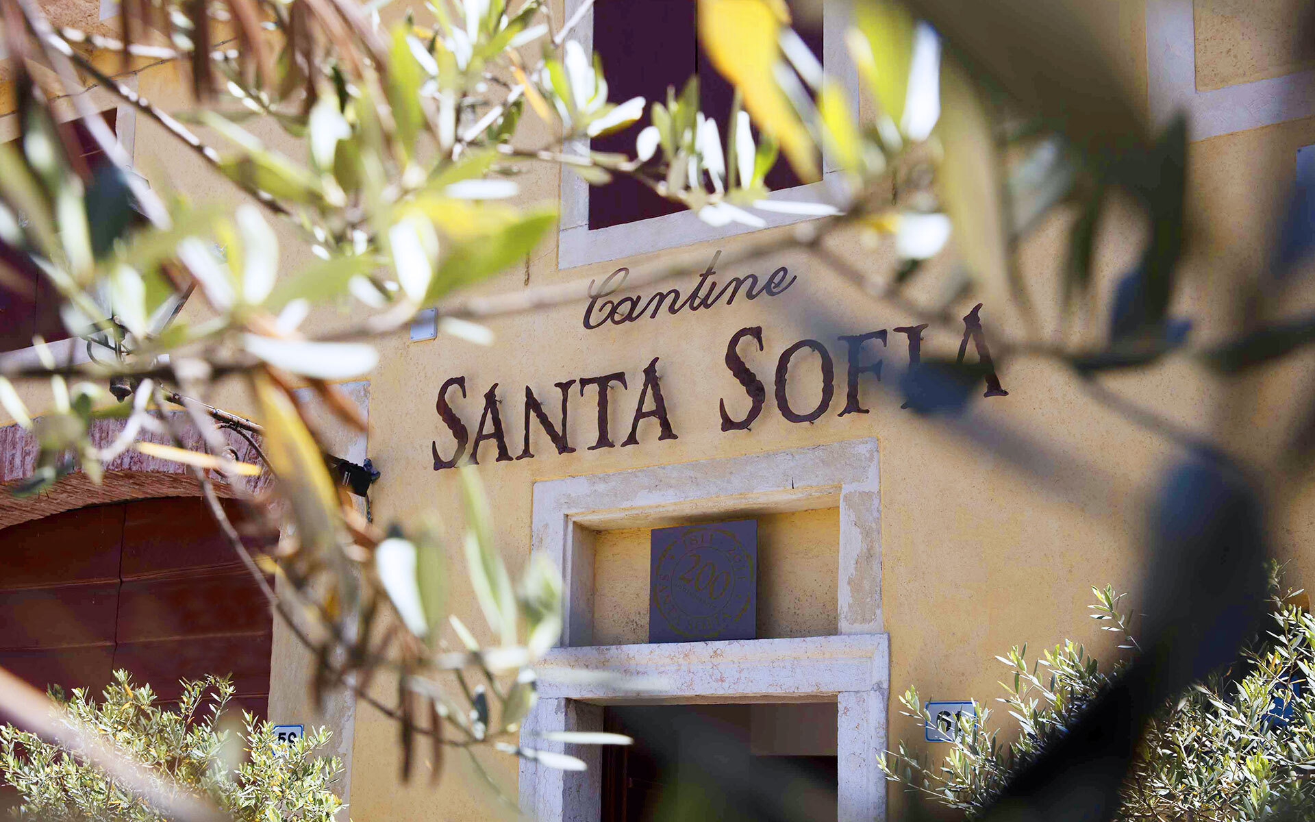 Santa Sofia Srl