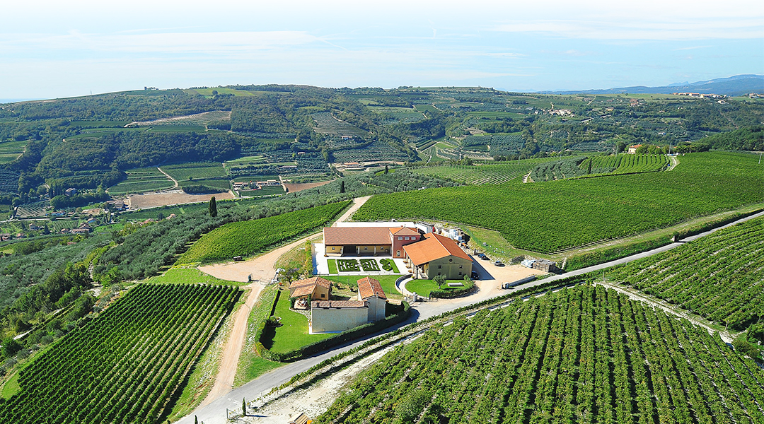 Tenuta S. Antonio di Castagnedi