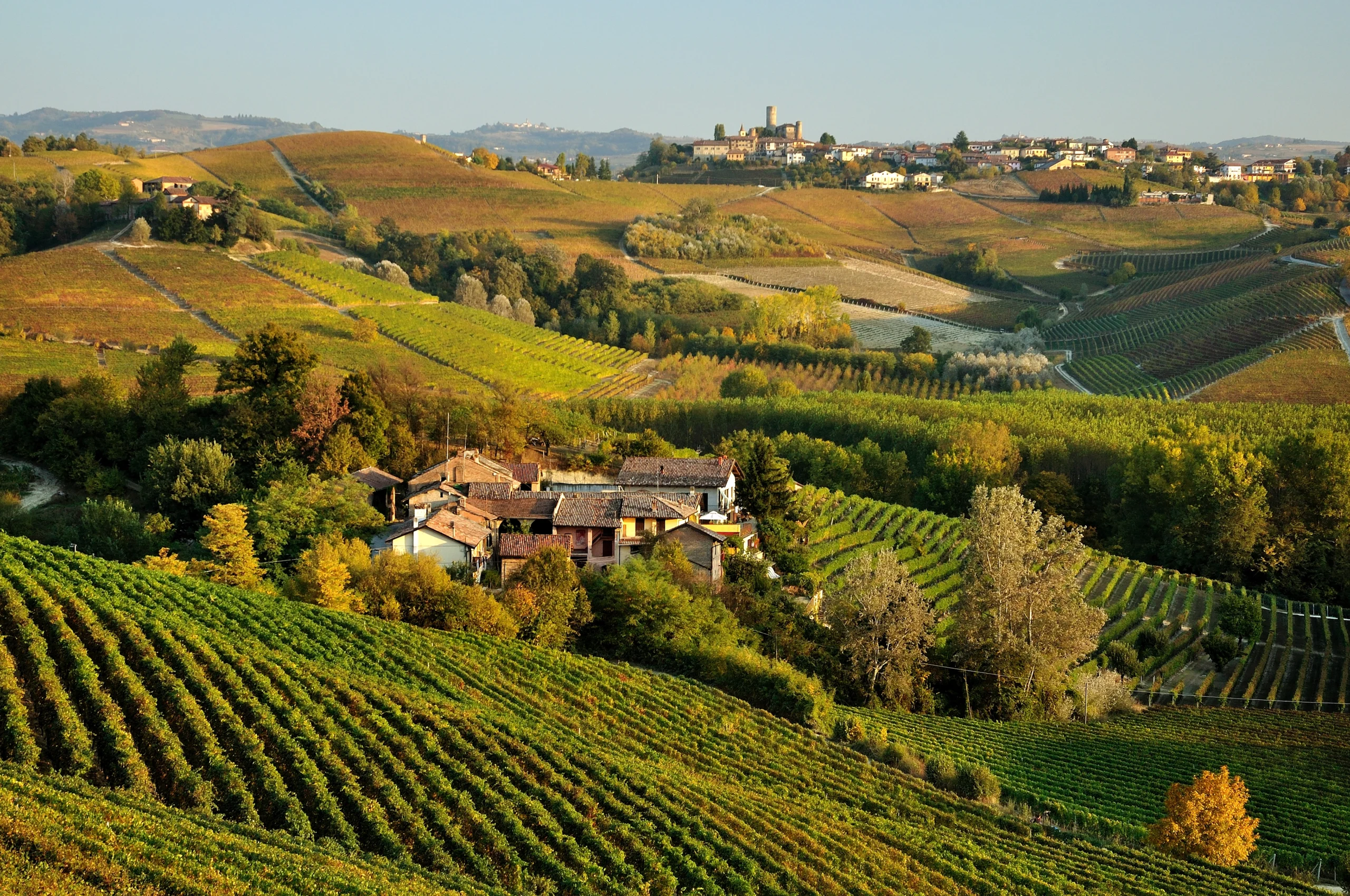 Tenuta Solar di Bolla Egidio