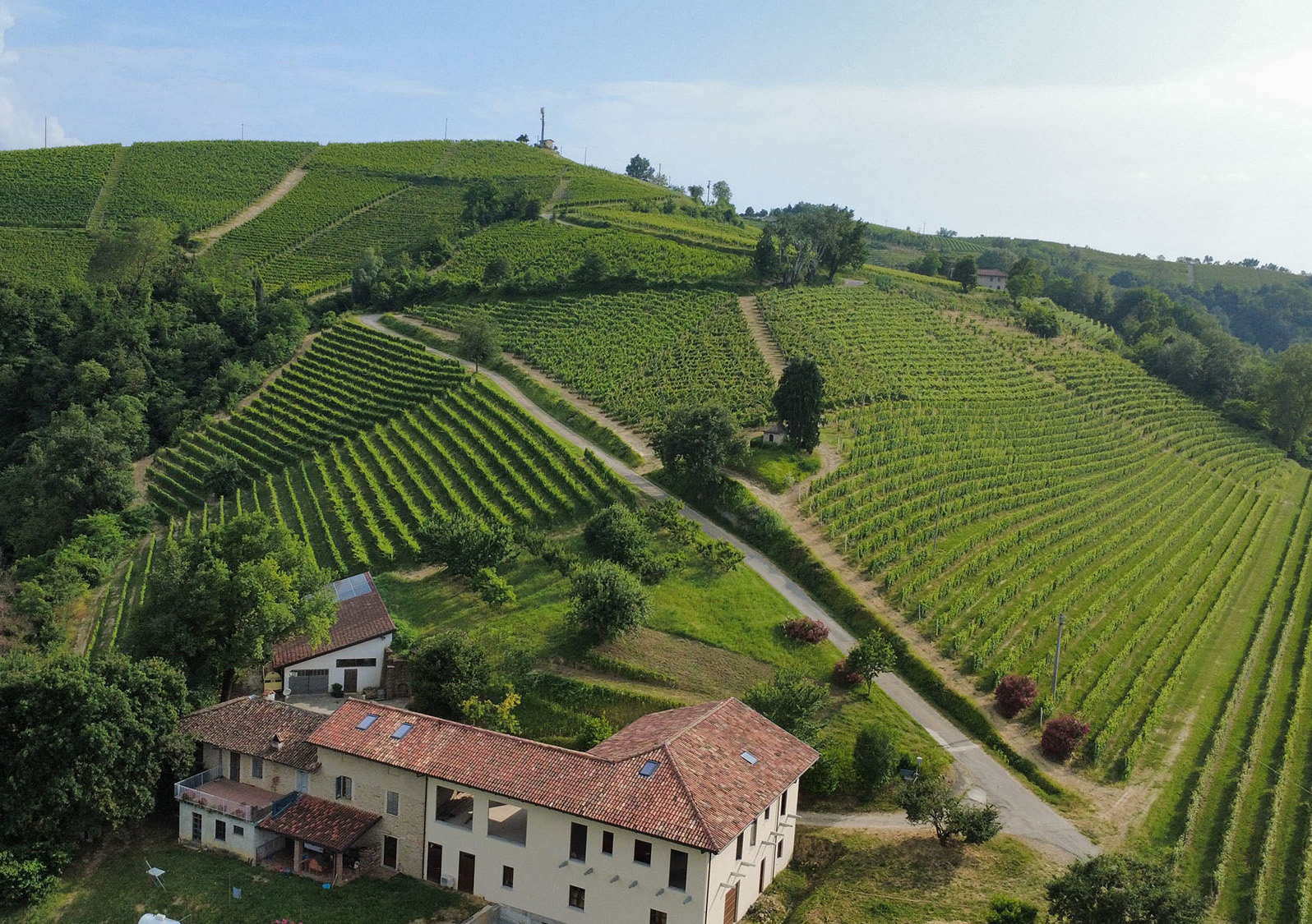AZIENDA AGRICOLA BERA PIERLUIGI – IL BOSSETO