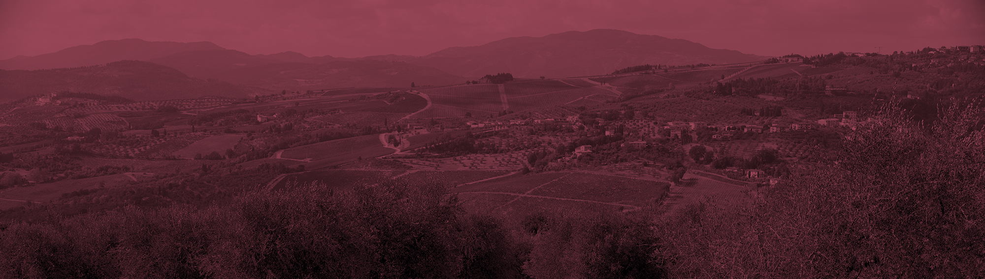 Azienda Agricola IL Peraccio