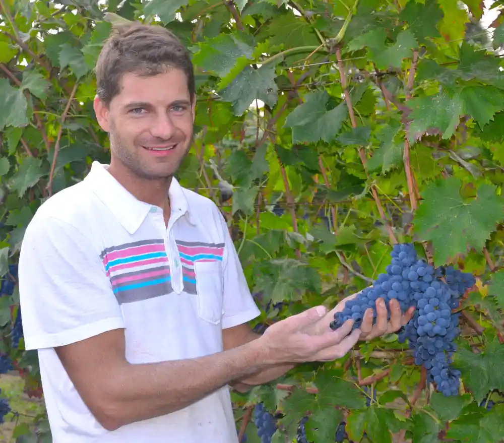 Azienda Agricola Il Roccolo di Bertazzi Andrea