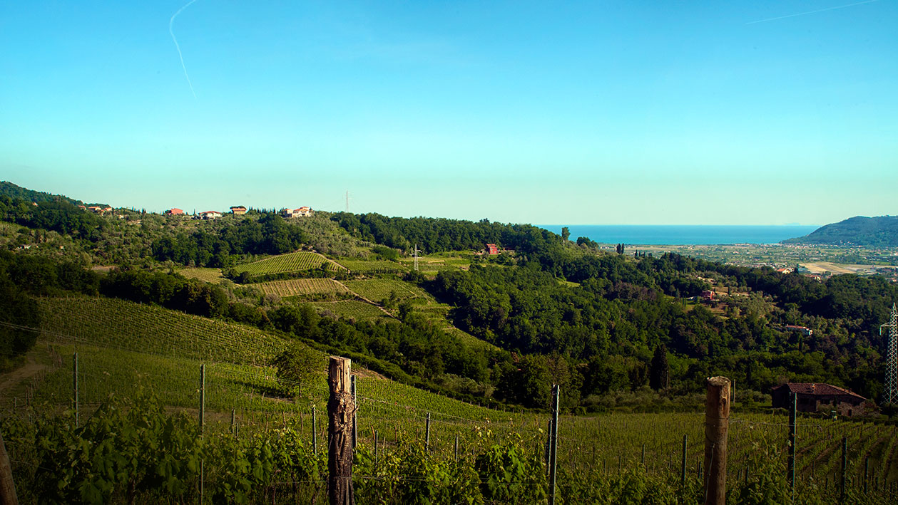 Azienda Agricola Pascale Francesca