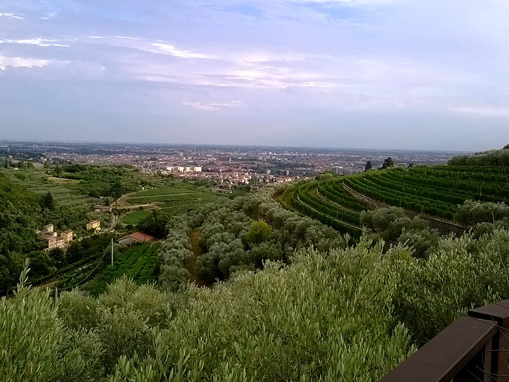 Azienda Agricola Zanoni Pietro