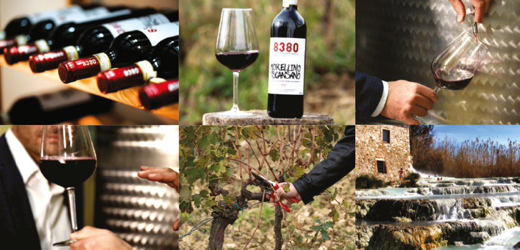 Cantina 8380 Societa’ Semplice Agricola