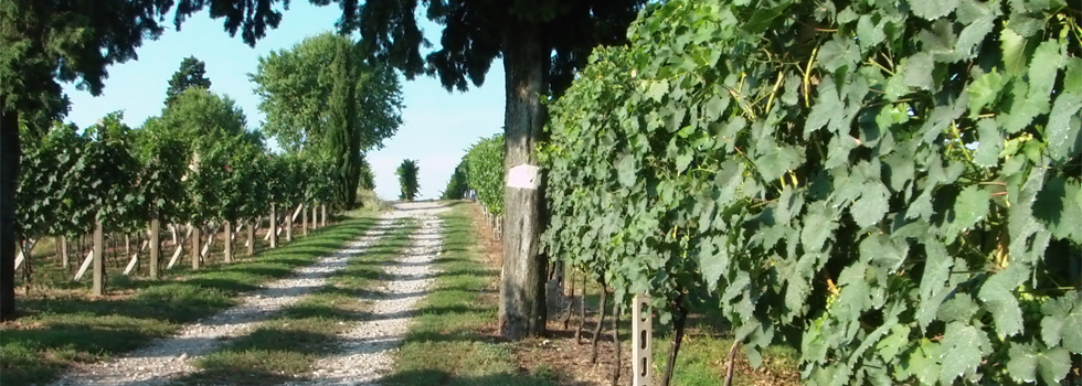 Cascina Mondator