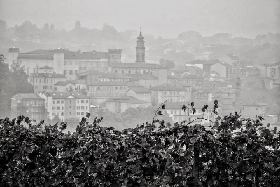 Case Corini S.A.S. Ambiente Agricolo, Vigneto e Vini