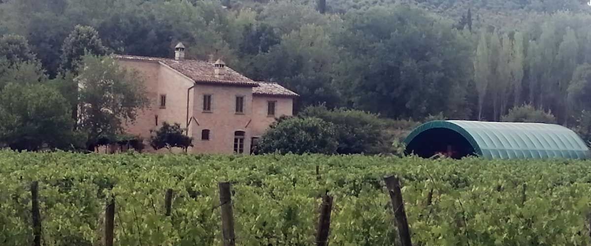 FRANCESCO MARIANI – Raina