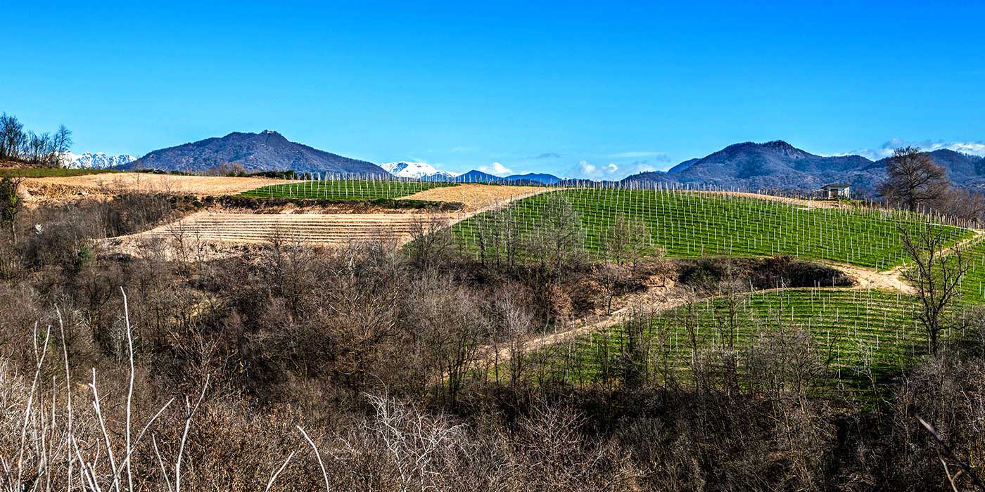 Società Agricola Roccia rossa