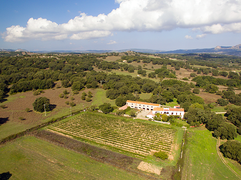 Tenuta Muscazega Ditta individuale